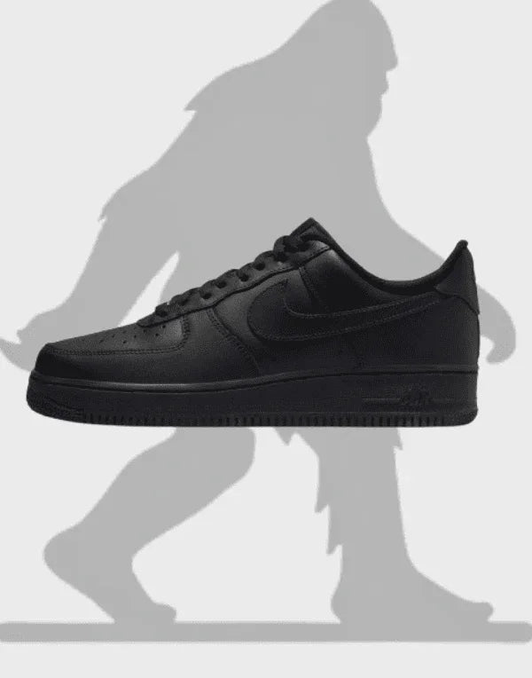 Footwear - Pellegrino