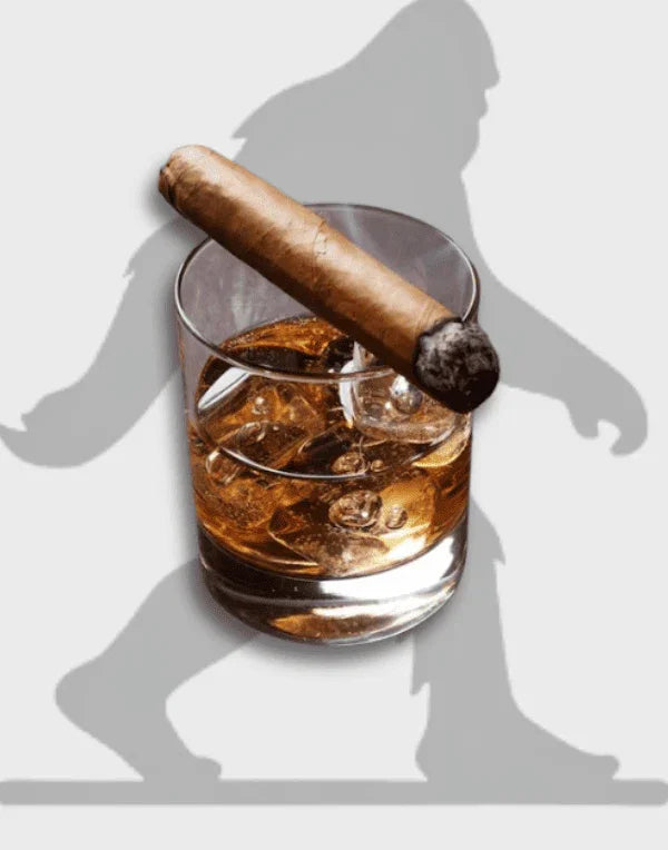 Lifestyle & Gifts - Pellegrino