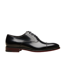 The Pellegrino Determined Oxford - Pellegrino